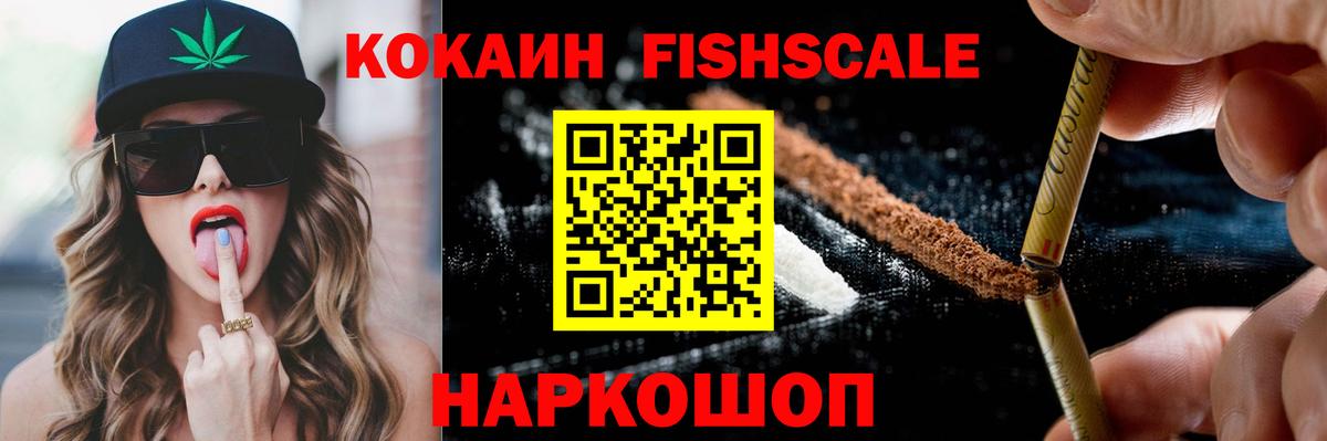 Cocaine 99%  дарнет шоп  Алексин  Cocaine Fish Scale  Вход с VPN 